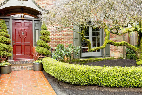 树篱怎么设计才能完美融入庭院？
